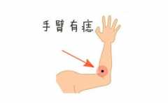 <b>��Ů�˶������޵���ҵ�г������� ������������� </b>