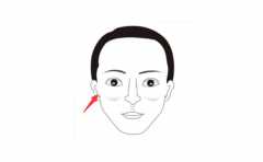 ����׼�Ŀ����ɷ����� ���Ǳ������� һ������������ 