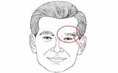 ����������������� �������˺������� ������ 