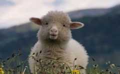 <b>��Ե���õ���Ф ��Щ�����ǵ����� ���˶�����Զ֮ </b>