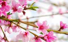 ˭Ȣ�����һ�����Ů�� ���ͻᱻ����ñ 