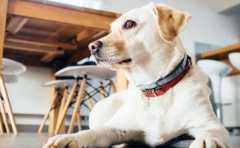 2022������Ů������� �������ƲƷ�ѡ ���һ�����Ƿծ 