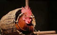 ��Ф������ �������оʹ��Ƶ�������ФŮ 