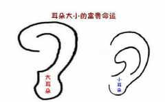 �������С������˲����� ��ЩҲ�� ע��û����Ը��� 