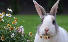 ��Щ��Ф���������ʽϸ� ��Щ�������� 