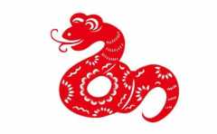 2022��ʮ����Фƫ�������� ���ŵڼ� 