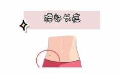 ���������쵼������������������� һ���Ͳ��Ǽ��� 