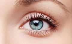 ������������ һ�����ܲ��ܴ󸻴�� 