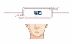 �����⼸�������ǲ�ֵ�ü����� ���ٶ���񶼲�Ҫ���� 