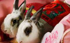 ʲô��Ф���� ������������Ф����Ҫ�Ż����� 