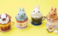 ʲô���಻��Ҫ�ñ��� �����㲻��Ҫ��ԭ�� 