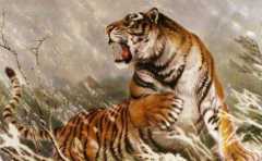 98������2022������ ���������������һ� 