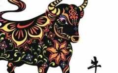 ʲô��Ф�������׳��Ի� ţ�������������� 