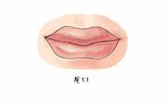 ��Ϳ��� ����;��ܿ�������ƶ��Ǹ��� 