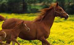 2022���������ƽ��� ���µ�һ����Ӻ������� 