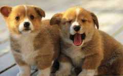 ��Ф��ʲôʱ�������� ��Щʱ���������������и� 