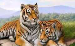 ������ƫ���˺û� ������Ĳ���Ϊ�κܶ��˶������� 