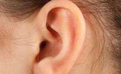 ���俴�� ��������˲������ 