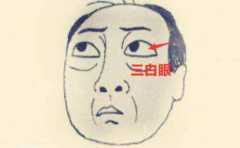 ����üë���� ��־�ᶨ ��ҵ�г� 