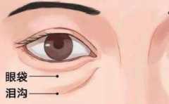 ʲô���ṵ���� ����ʲô���� 