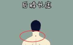 ���͵ĳ����볤������ ������֪���� 