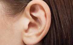 ������4������ ������Ů �е���ע��������Ӯ�� 