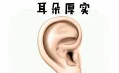 Խ��Խ��������Ů������������Ҳ���������� ��Ҫ���� 