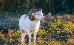 2022����������ע�� �����鷳������ 