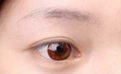 ���ֶ������� ����������ҵ�������� ��ֱһ���� 