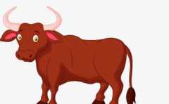 ���鲻˳��Ф ̸���������� �����ѵ��� 