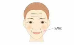 ����ĺ������� ��Ҫ� ������������۱� 