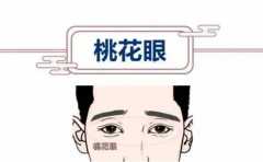 ʲô���һ������� �����������������ò��� 