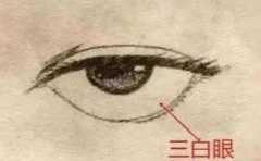 ���۾���������� �����۵����˲��ɿ� 