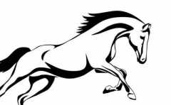 2022�����������ɫ ����������Ҫע�� 