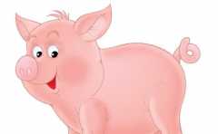 95������2022�����Ʒ��� �����һ������� ������ҵ˫���� 