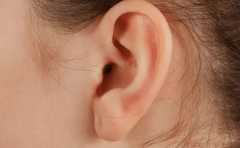 ����������� �����������˺��� 