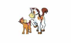 ����Ů�������������� ����������ǵ�ƥ��� 