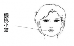 �����������ʲô����������