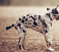 �����ĸ�ʱ�������� �⼸��ʱ�������������˺������� ����һ��