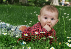 ���༫�õ�С������ϲ�� �����˱ض��Ƕ���֮��