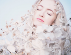 ������Ů��ӥ�ǵ��������ƻ�����Щ��ͬ��