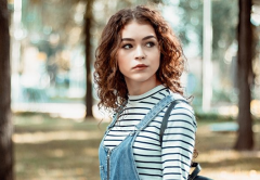 ʮ����Ф���Ʋ�ѯ���������������Ф����