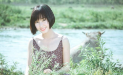 ����������ʲô����