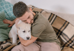 Ƥ����������˻�������ϲ��������������