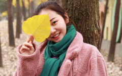 ����֮�۾����������