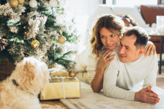 �����н��������Ʒ���