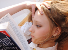 ��Ұ�ĵ��������Щʲô�ص�