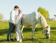 ̤���ӵ���������ǲ��Ƕ��ܵ�ù