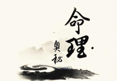 ������Ƽ�һ��������Ѳ�������е�΢��С����
