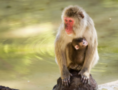 ���˷ǳ�������������ФŮ �ɷ�谮��Ů��Ϣ